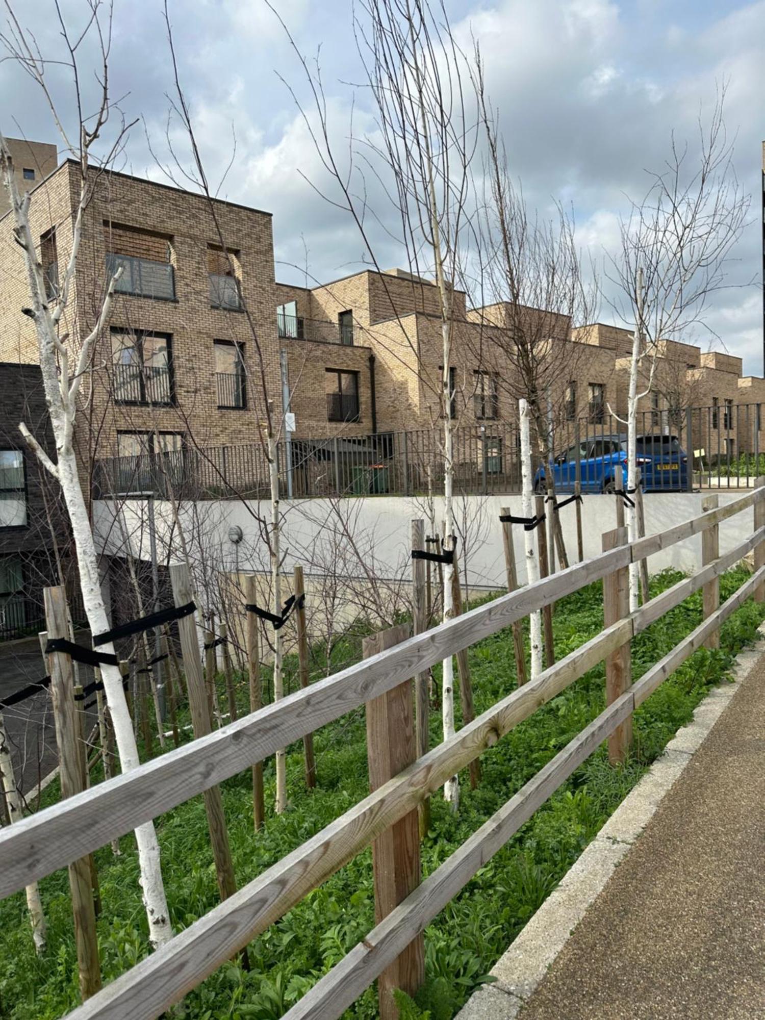 Luxury 3 Bedroom Flat In Stratford, Londres Exterior foto